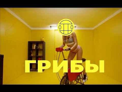 Грибы - Велик (2016)
